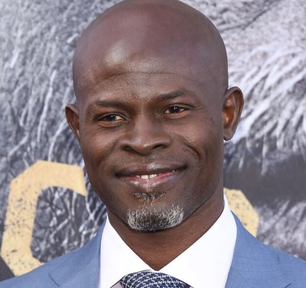 djimon-hounsou-2601660