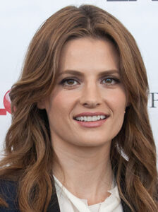 Stana Katic Net Worth 2020: Age, Height, Weight, Husband, Kids, Bio-Wiki