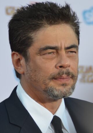 Benicio del Toro Net Worth 2021: Age, Height, Weight, Girlfriend, Dating, Bio-Wiki