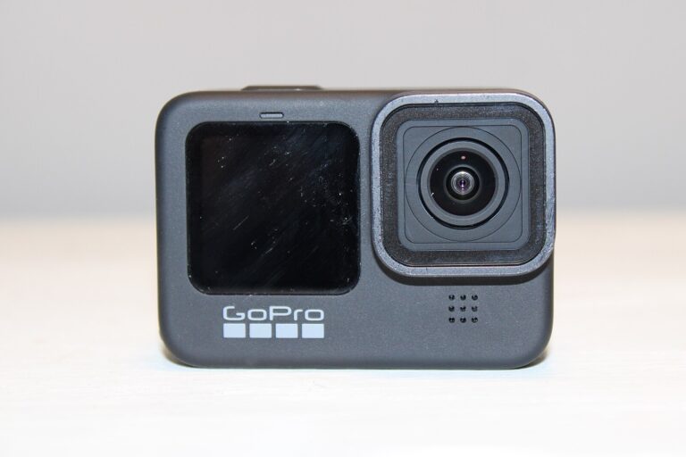 GoPro Net Worth 2021