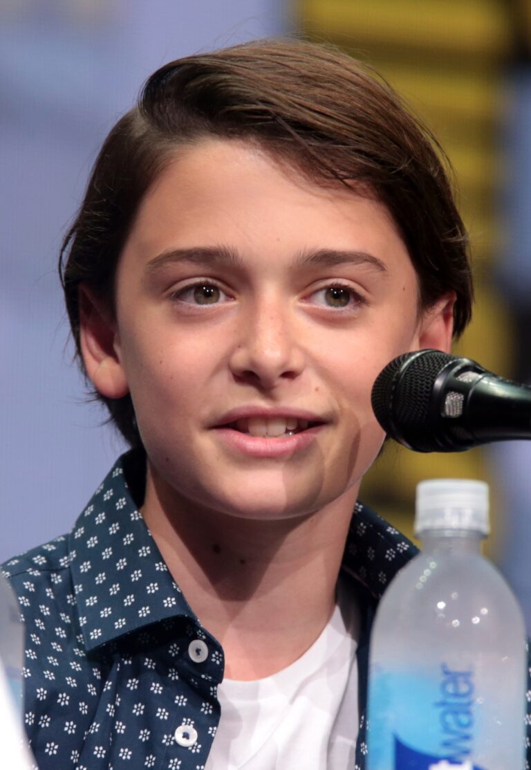 Noah Schnapp Net Worth 2021: Age, Height, Weight, Girlfriend, Dating, Bio-Wiki — via Wikimedia Commons