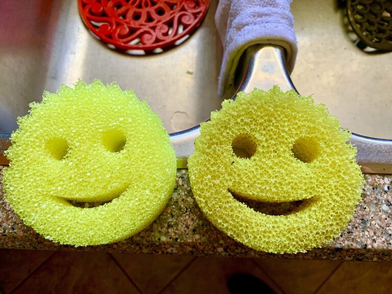 Scrub Daddy Net Worth 2021 — via Wikimedia Commons