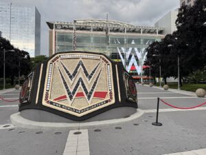 WWE Net Worth 2021