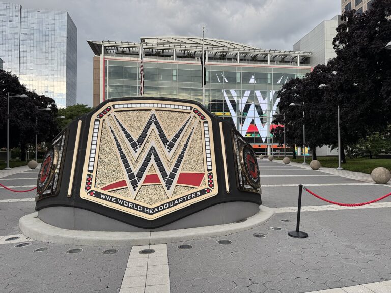 WWE Net Worth 2021