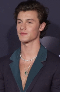 Shawn Mendes Net Worth 2021: Age, Height, Weight, Girlfriend, Dating, Bio-Wiki