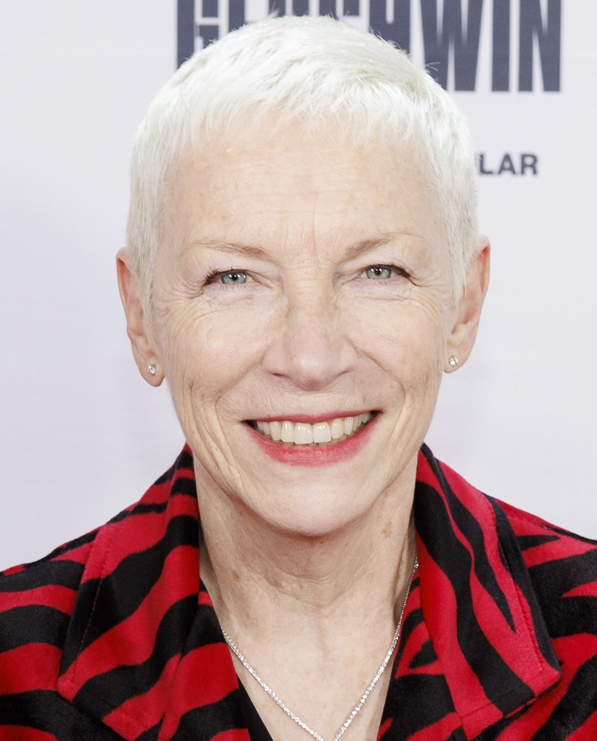 Annie Lennox Net Worth 2021: Age, Height, Weight, Husband, Kids, Bio-Wiki — via Wikimedia Commons