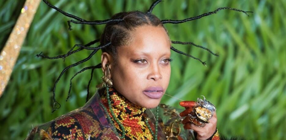 erykah-badu-net-worth-3089095