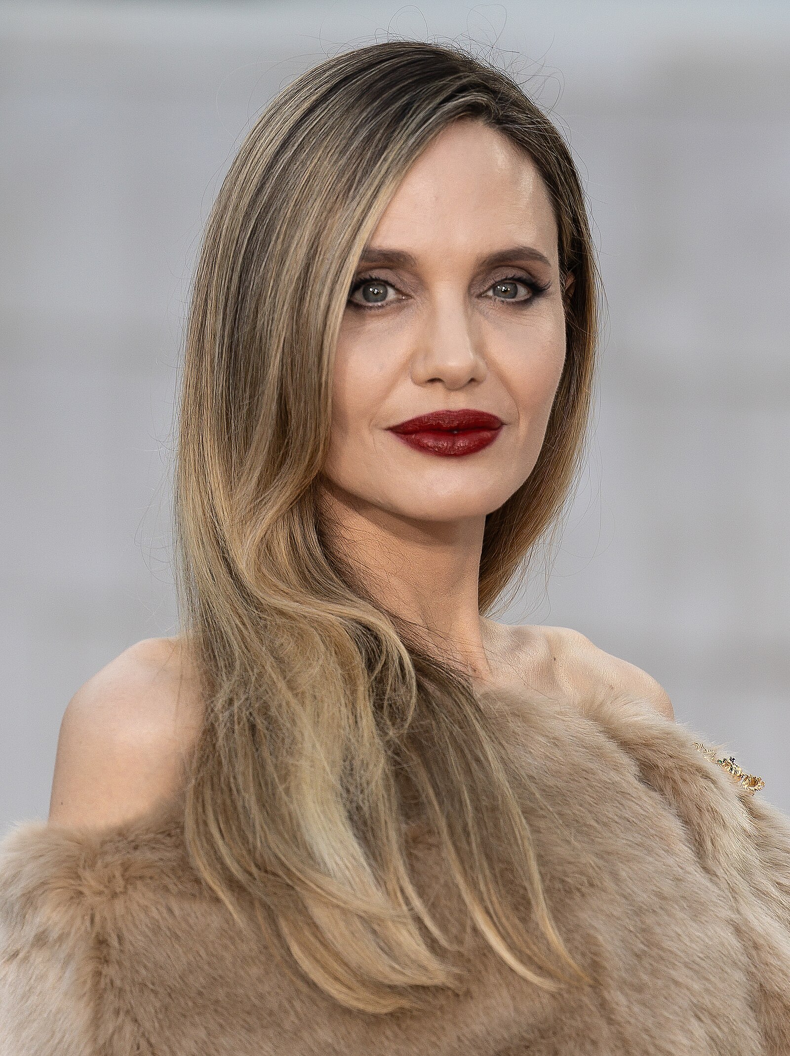 Angelina Jolie Net Worth 2021: Age, Height, Weight, Husband, Kids, Bio-Wiki