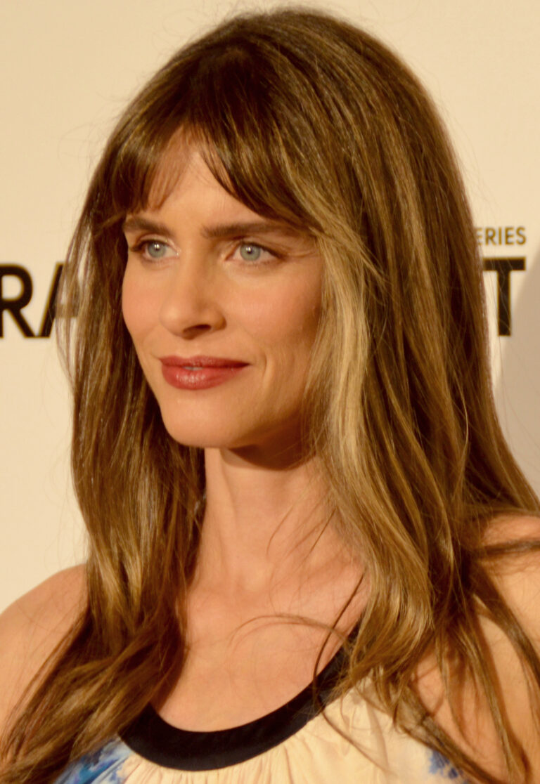 Amanda Peet Net Worth 2021: Age, Height, Weight, Husband, Kids, Bio-Wiki | Wealthy Persons — via Wikimedia Commons