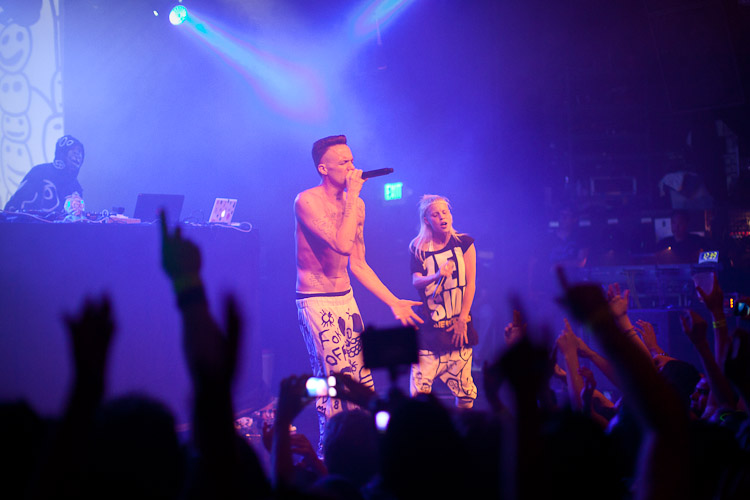 Die Antwoord Net Worth 2021