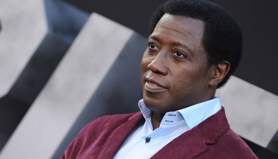 wesley-snipes-net-worth-5769383