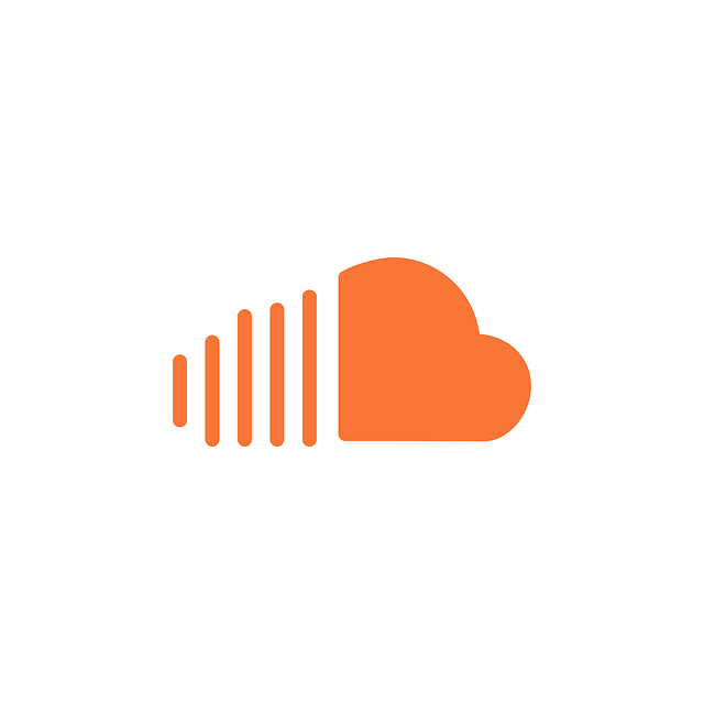 SoundCloud Net Worth 2021