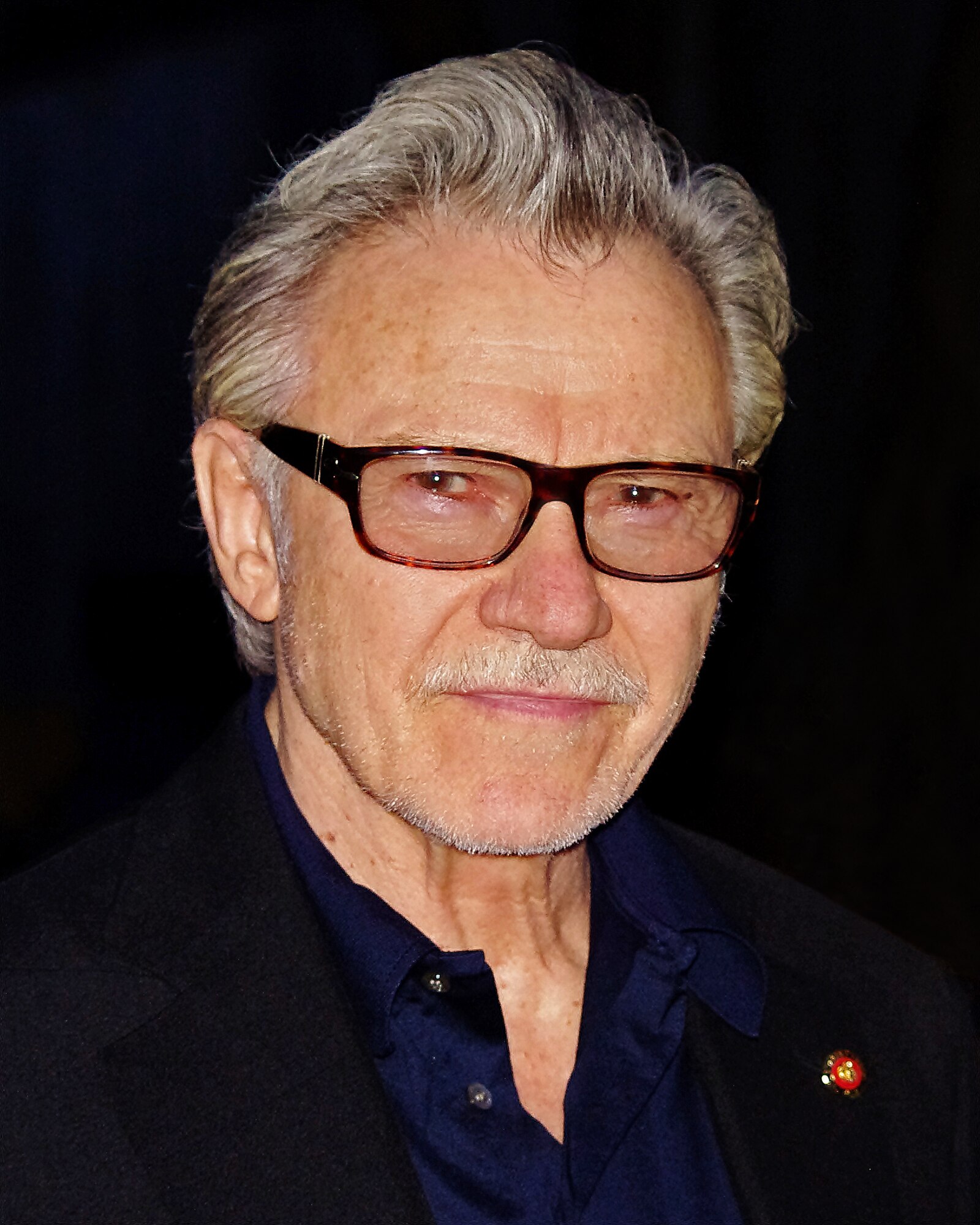 Harvey Keitel Net Worth 2021: Age, Height, Weight, Wife, Kids, Bio-Wiki