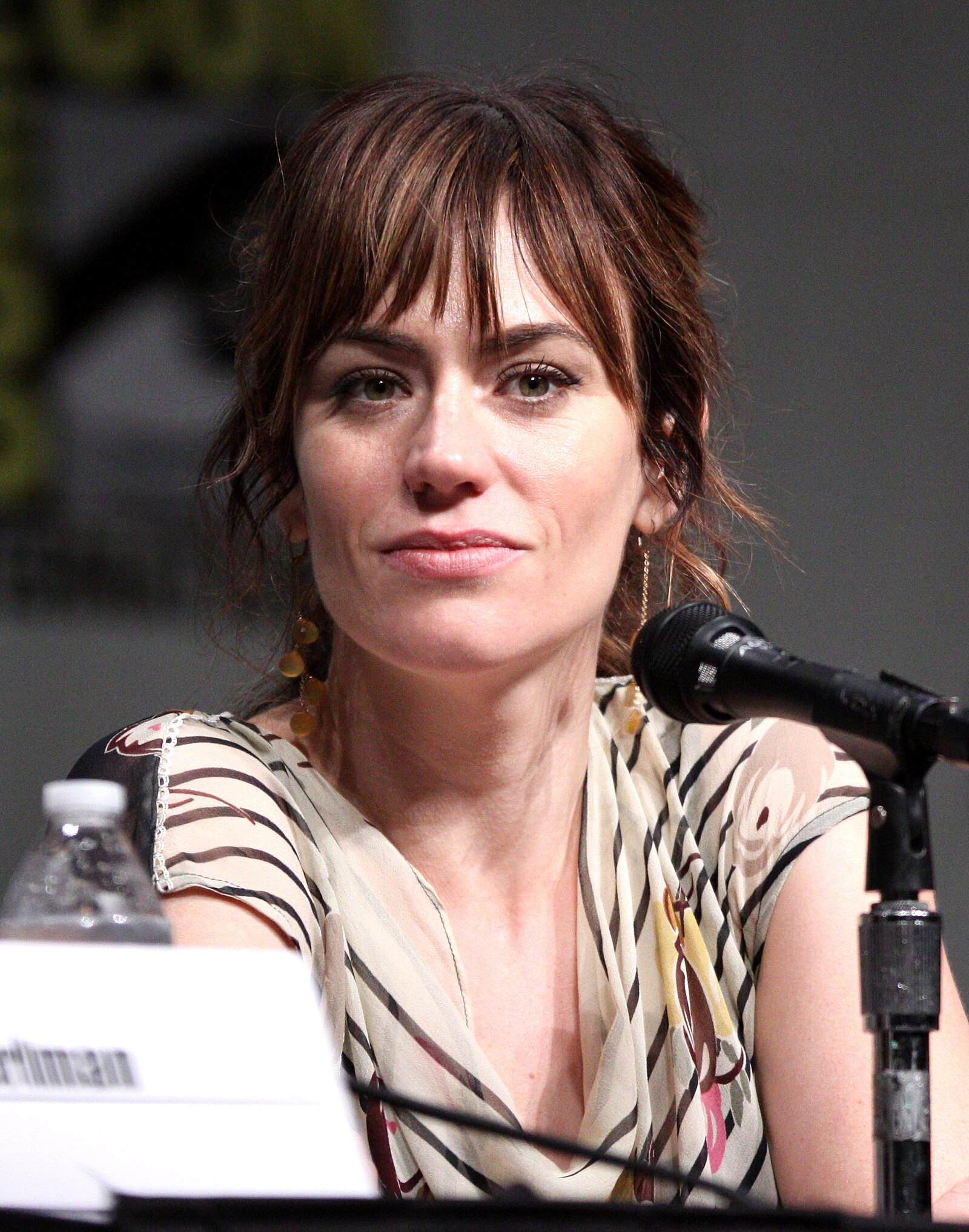 Maggie Siff Net Worth 2021: Age, Height, Weight, Husband, Kids, Bio-Wiki | Wealthy Persons — via Wikimedia Commons