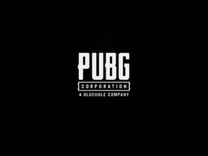 PUBG Net Worth 2021