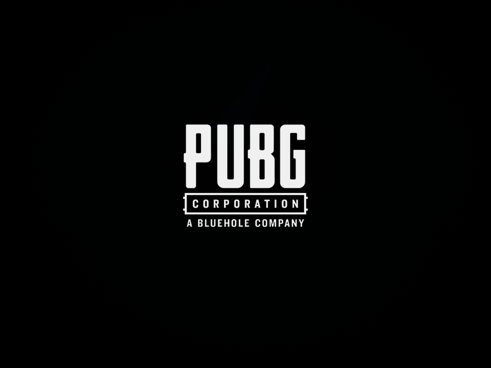 PUBG Net Worth 2021