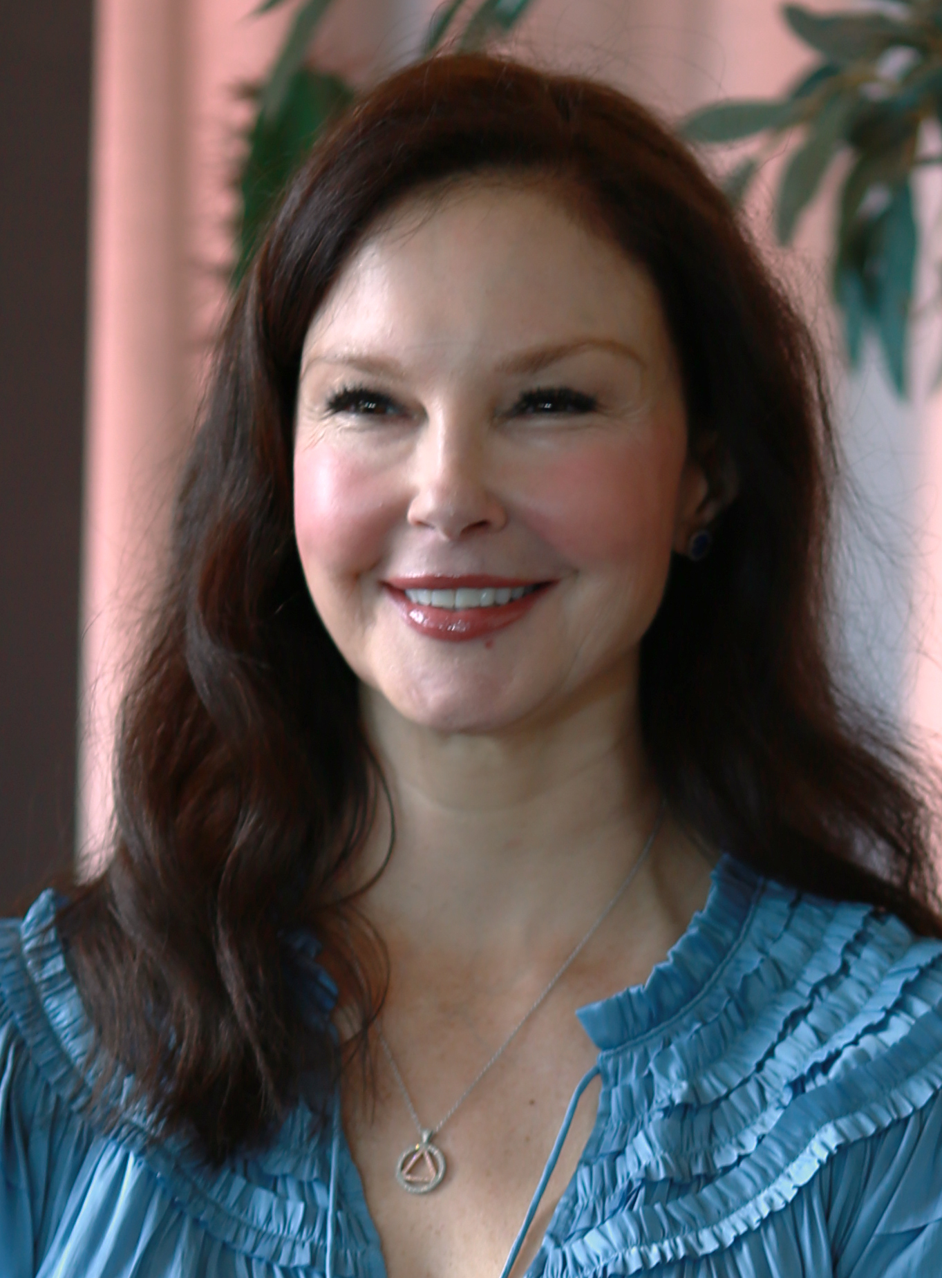 Ashley Judd Net Worth 2021: Age, Height, Weight, Husband, Kids, Bio-Wiki
