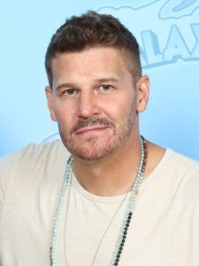 David Boreanaz Net Worth 2021: Age, Height, Weight, Wife, Kids, Bio-Wiki